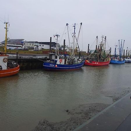 Nordsee Und Natur. Gemuetliche Fewo Mit Deichblick 도룸 노이펠트 외부 사진