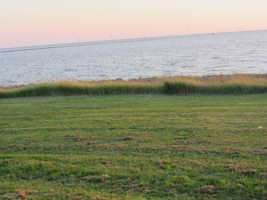 Nordsee Und Natur. Gemuetliche Fewo Mit Deichblick 도룸 노이펠트 외부 사진