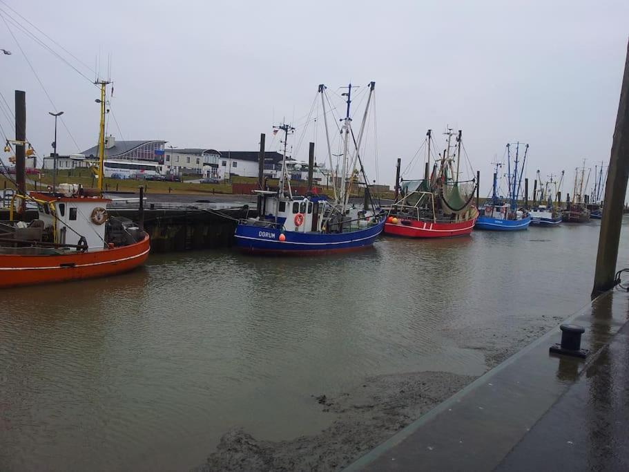 Nordsee Und Natur. Gemuetliche Fewo Mit Deichblick 도룸 노이펠트 외부 사진